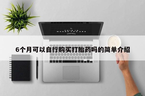 私人医院开打胎药6个月可以自行购买打胎药吗的简单介绍